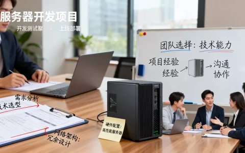 服务器开发项目的实施步骤是什么，如何选择团队