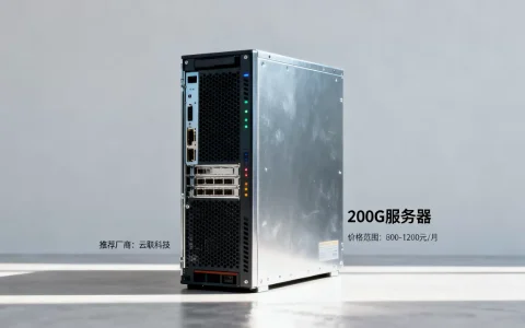 租一台200G服务器大概多少钱，哪家最便宜？