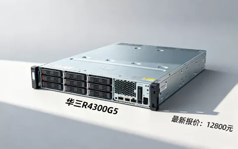华三R4300G5服务器现在多少钱一台，最新报价多少