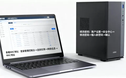怎么查看云服务器的MAC地址？，如何修改密码