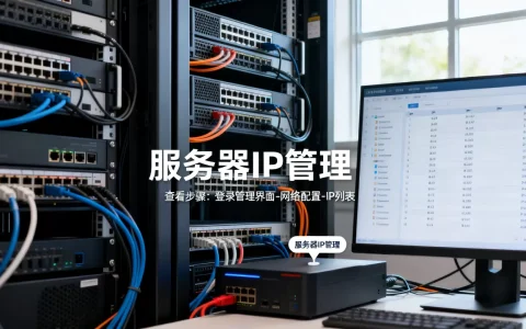 怎么看服务器里都有哪些IP地址，哪里可以查？