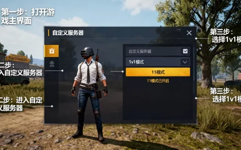 绝地求生自定义服务器1v1模式怎么开启？，步骤是什么