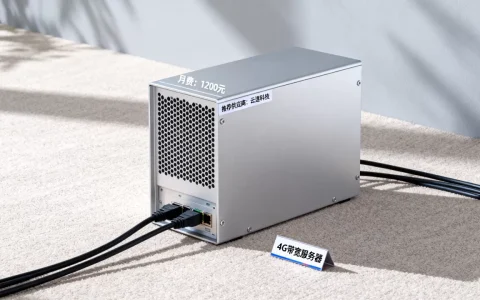 租用4G带宽服务器大概多少钱，哪家性价比高？