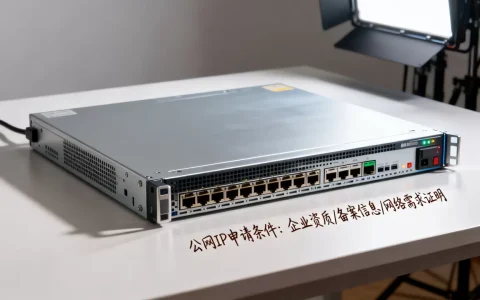如何申请服务器的公网IP，需要什么条件？