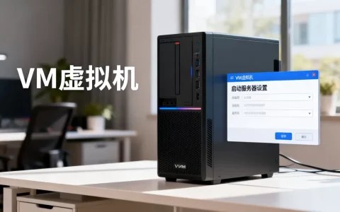 VM虚拟机需要启动哪些服务器？，怎么设置启动服务器？