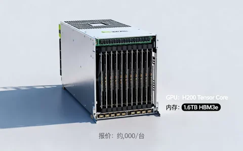 英伟达H200服务器最新报价多少钱一台，性能配置参数如何