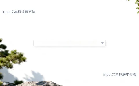input文本框怎么设置？，input文本框怎么居中
