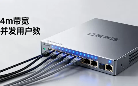 云服务器4m带宽能多少人使用