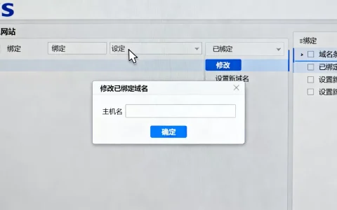 IIS默认网站IIS服务如何修改已绑定的域名？，怎么设置
