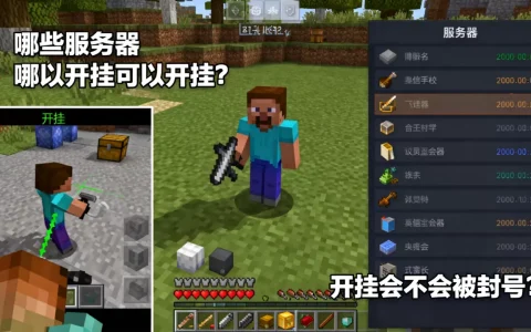 我的世界哪些服务器可以开挂？，开挂会不会被封号？