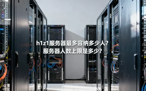 h1z1服务器最多容纳多少人？，服务器人数上限是多少？