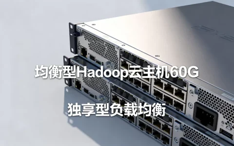 均衡型Hadoop云主机60G多少钱？，独享型负载均衡价格？