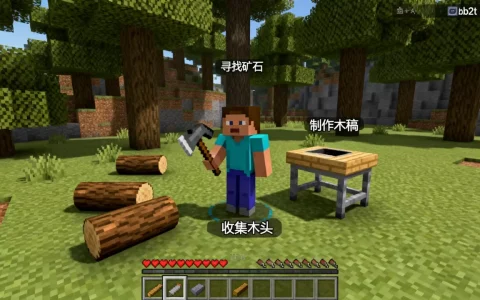我的世界手机版2b2t服务器新手如何快速上手？，怎么玩