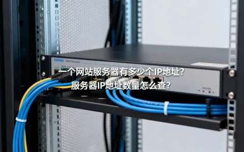 一个网站服务器有多少个IP地址？,服务器IP地址数量怎么查？
