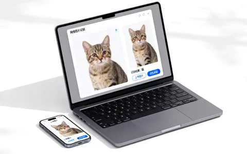 internet网络图片识别怎么用？，是什么意思？