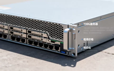 100G服务器租用一个月多少钱，哪家性价比高？