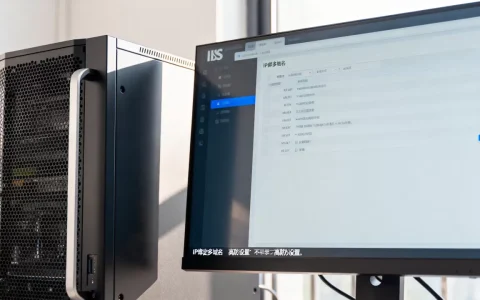 IIS一个IP绑定多域名后同一域名能绑定多高防吗，如何设置
