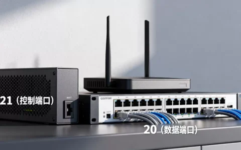 FTP默认使用哪些服务器端口，常见的FTP端口号是什么？