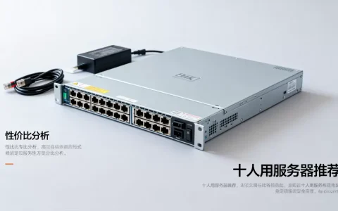 十人用的服务器怎么选才合适，哪款性价比最高？
