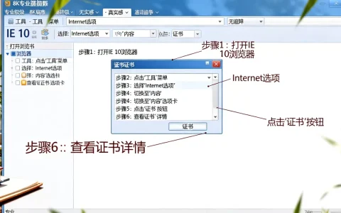 IE 10浏览器如何查看证书？，操作步骤是什么？