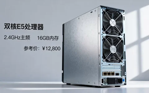 服务器双核e5性能到底怎么样，多少钱一台