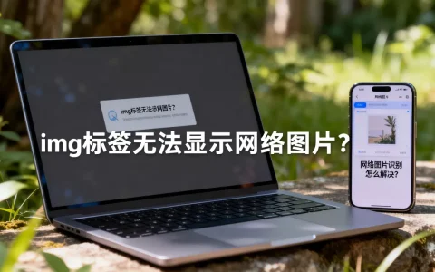 img标签无法显示网络图片？, 网络图片识别怎么解决？