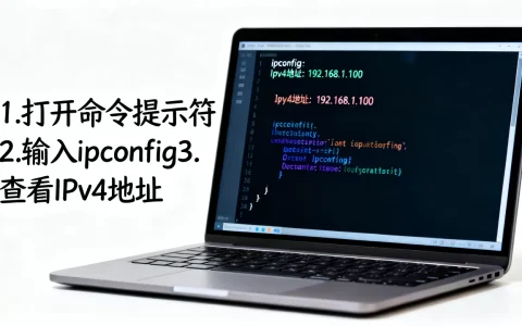 怎么查电脑服务器IP地址有几个,服务器ip地址查询方法