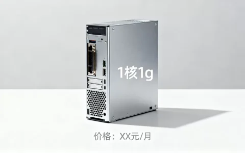 简米云服务器1核1g到底多少钱，性价比高吗？