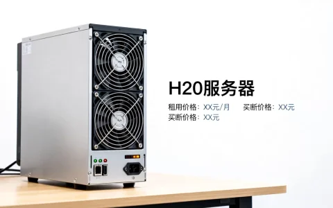 一台H20服务器多少钱，租用和买断哪个更划算？