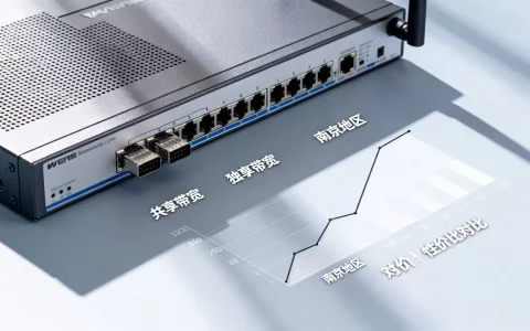 南京大带宽租用选共享还是独享，哪种性价比更高？