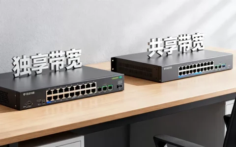 南京企业租大带宽，独享和共享怎么选？,哪个更划算？