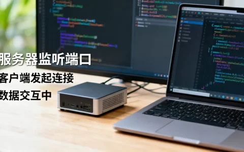 C语言服务器和客户端是如何运行的，如何实现