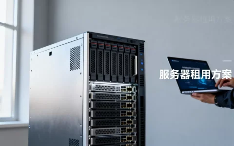 南京软件外包公司如何选择服务器租用方案，哪家好？