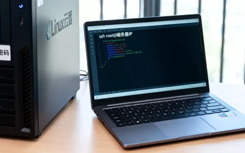 ins如何登录服务器？，无法登录Linux云服务器怎么办？