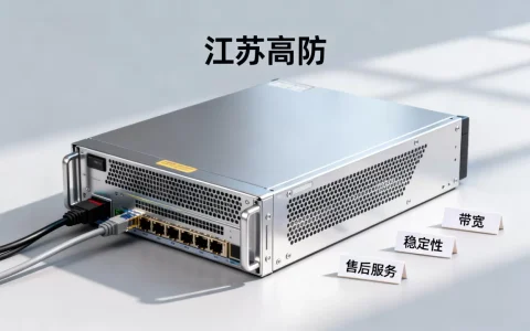 江苏租高防服务器除了防御还要看什么？，怎么选