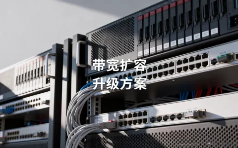 江苏大带宽服务器跑满怎么扩容，云服务器带宽升级方案？