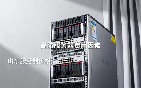 山东高防服务器租用费用由什么决定，哪里便宜