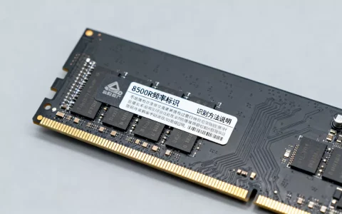 服务器内存条8500R频率是多少，怎么识别？