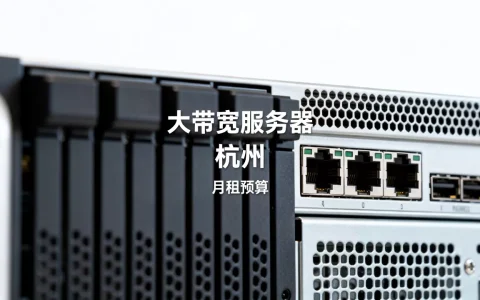 杭州大带宽服务器租用的月租预算如何做，多少钱一个月？