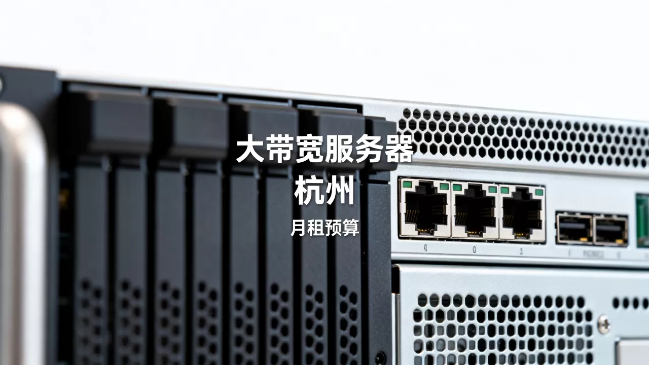 杭州大带宽服务器租用的月租预算如何做,多少钱一个月? 杭州大带宽服务器租用的月租预算如何做,多少钱一个月?