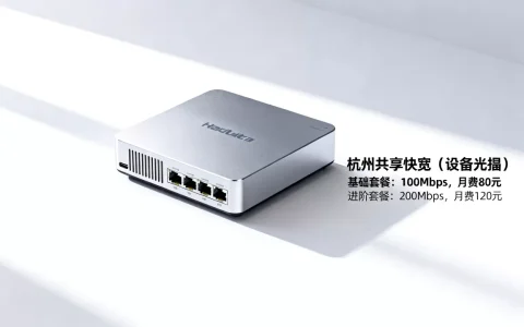 杭州共享带宽的收费标准是什么，多少钱一个月？