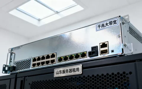 山东千兆大带宽服务器租用价格贵不贵，性价比高吗？