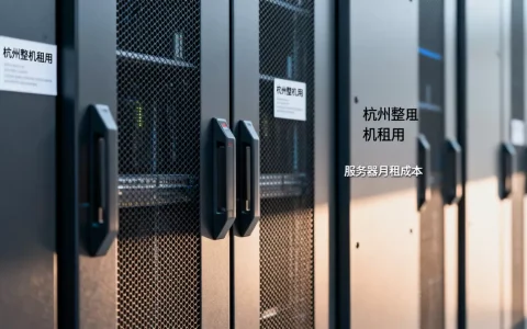 杭州整机租用的月租成本怎么算？服务器租用多少钱一个月？