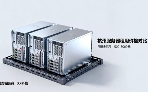 杭州服务器租用一个月大概多少钱，哪家便宜？