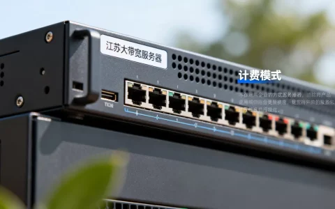 江苏大带宽服务器租用-计费模式梳理