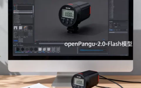 flash计时器如何使用，快速体验openPangu-2.0-Flash模型