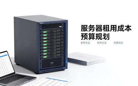 珠海服务器租用一年多少钱大概，软件企业预算怎么报