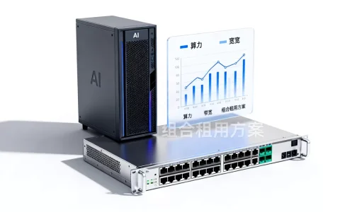合肥AI图像公司算力与带宽组合租用方案怎么选，哪家好？