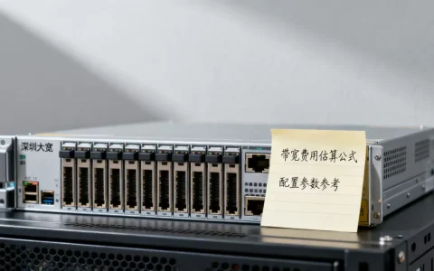 深圳大带宽服务器一年费用怎么提前估算？，哪家便宜？