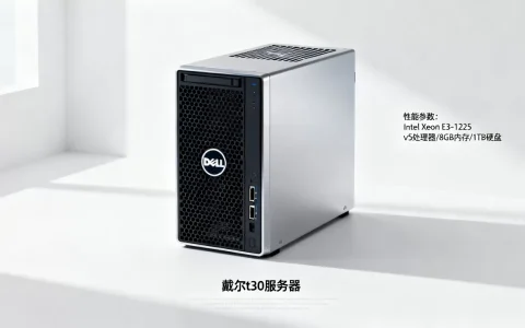 戴尔t30服务器多少钱一台？，性价比高吗？